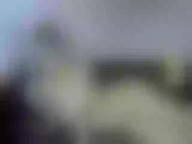Live sex webcam photo for MyyDream #255141348