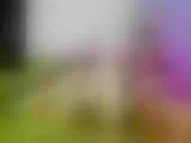 Live sex webcam photo for Atlanna #253200064