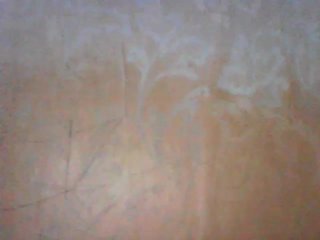 Live sex webcam photo for MillyShyness #240854910