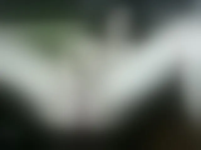 Live sex webcam photo for ShanellMoore #241208195