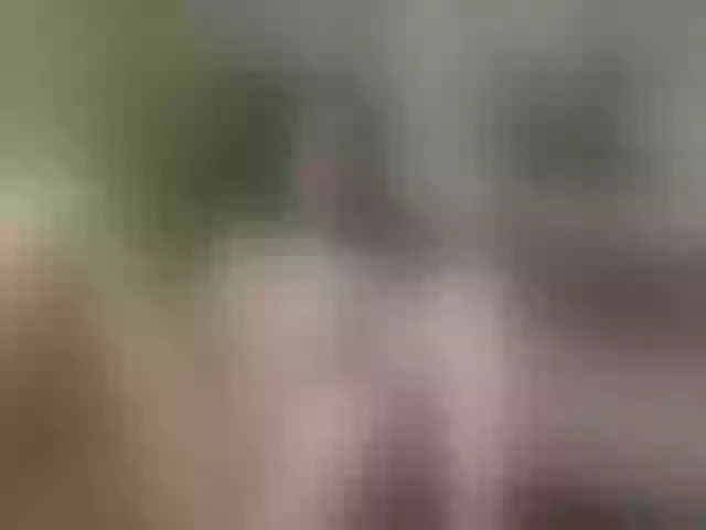 Live sex webcam photo for Evelynevi #253291960