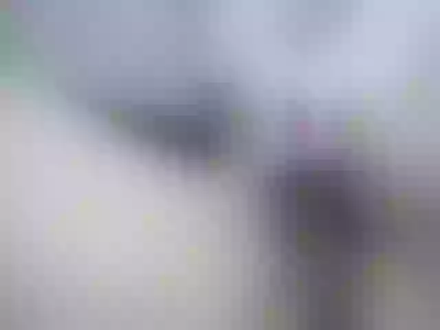Live sex webcam photo for Girasolwalton #262318552