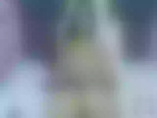 Live sex webcam photo for mia211_ #258896665
