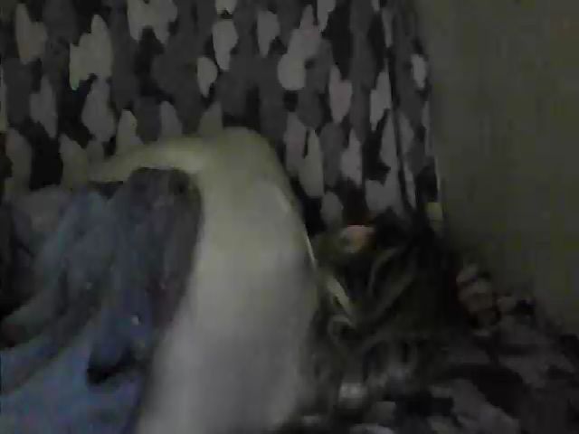 Live sex webcam photo for GuiltyKitty #253015775