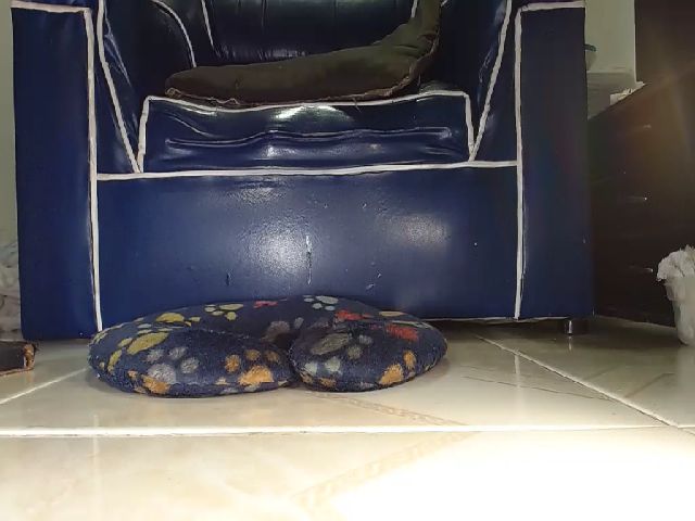 Live sex webcam photo for Alexia_Bonet #261984409