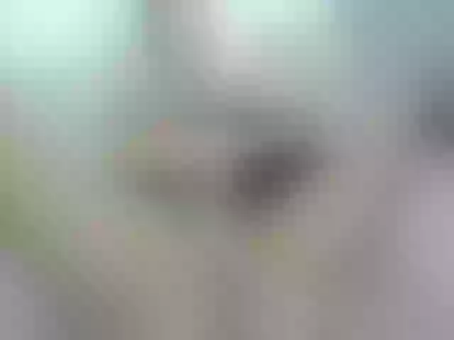 Live sex webcam photo for EVAXROSE #253918992