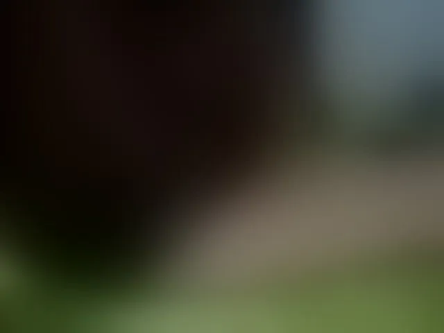 Live sex webcam photo for boundlessfu #241289004