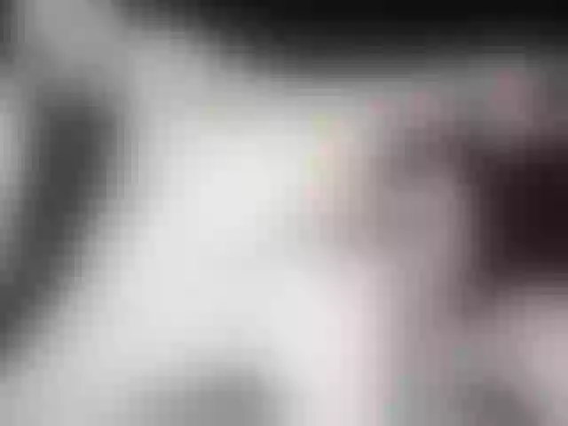 Live sex webcam photo for nicehotjob #241914441