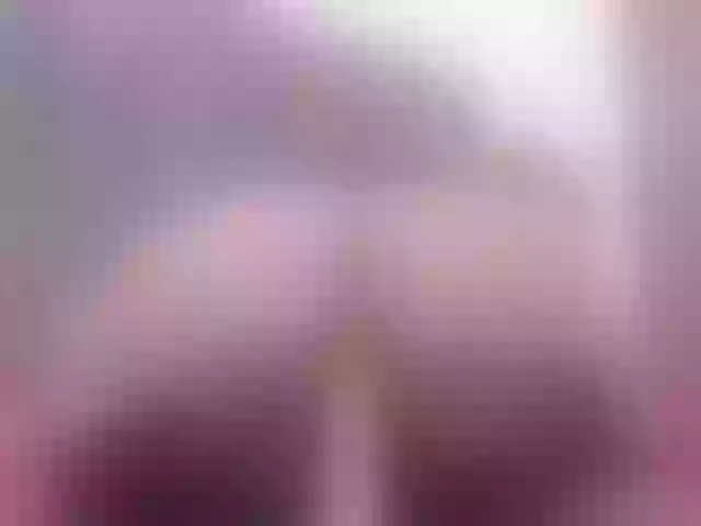 Live sex webcam photo for Whitney-Wells #263529382