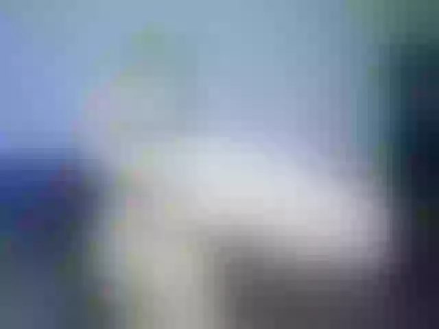 Live sex webcam photo for ORNELLAMUTTY #241398893