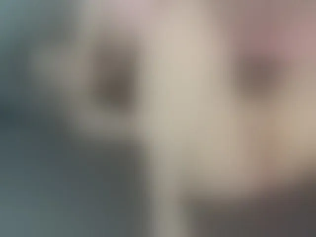 Live sex webcam photo for SPCLDelivery #244293513