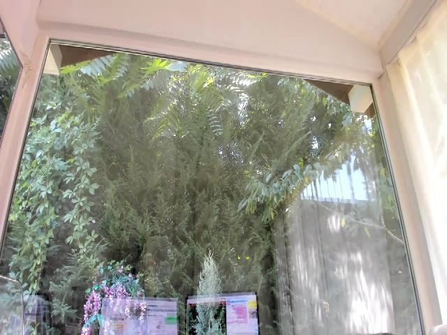 Live sex webcam photo for Miss_Tanya #262612119