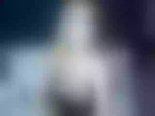 Live sex webcam photo for Ellaquality #263138566