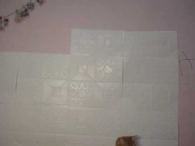 Live sex webcam photo for Arissacheo #248046372