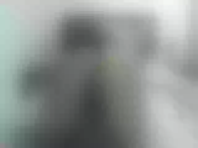Live sex webcam photo for angiebigtits #261852152