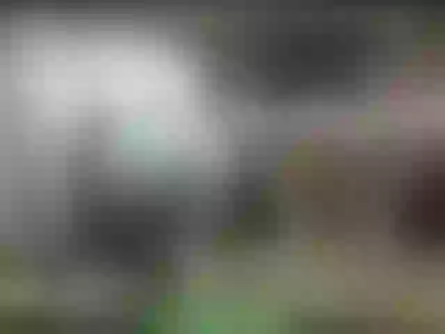 Live sex webcam photo for alisablond #247366712