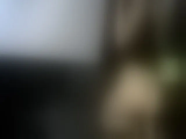 Live sex webcam photo for MyyDream #256338758