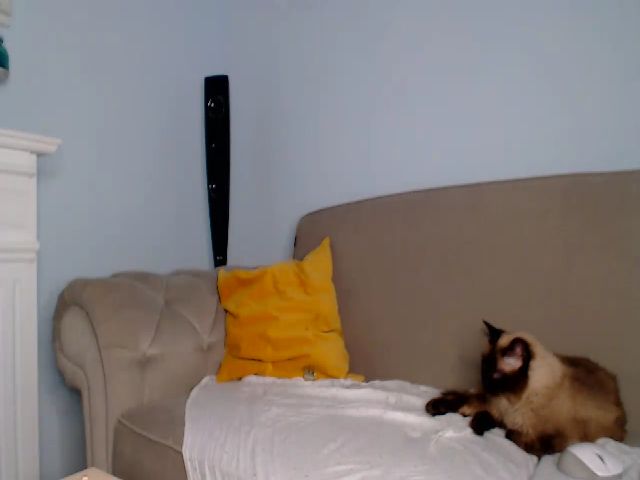 Live sex webcam photo for Pumpingirl #259482417