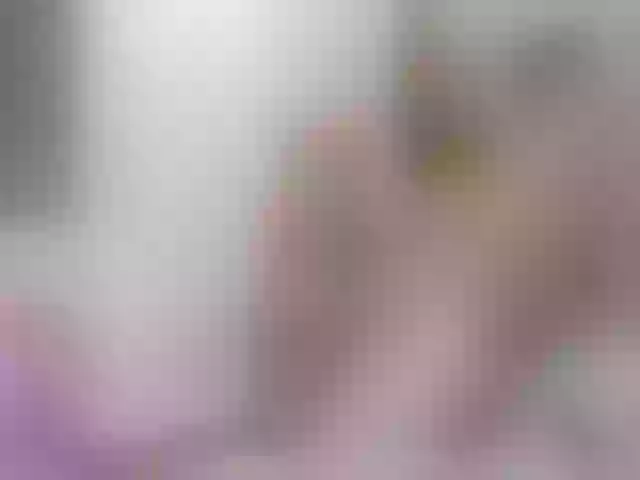 Live sex webcam photo for BellaSweeet #254899874