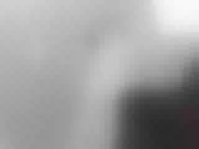 Live sex webcam photo for girasol-walto #247749538