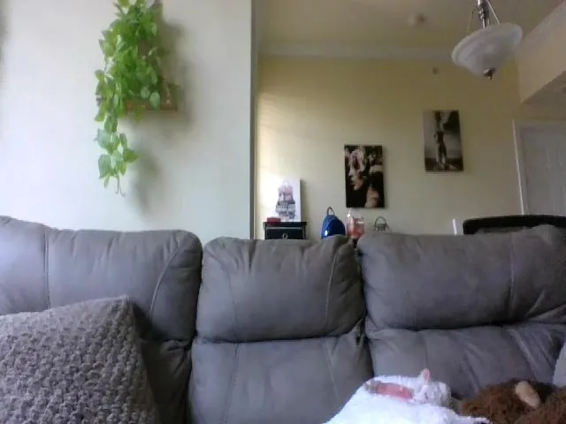 Live sex webcam photo for cozychristine #260851094