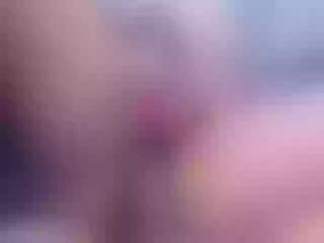 Live sex webcam photo for Evatwiss #261567811