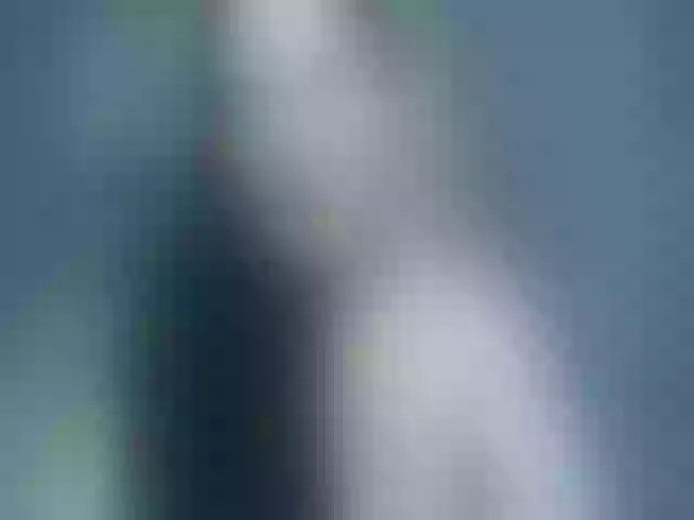 Live sex webcam photo for Yummymotions #257170571