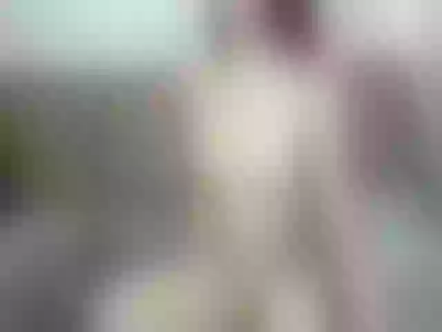 Live sex webcam photo for Jessy4Lovex #262924214