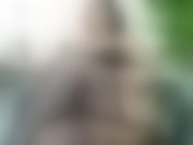 Live sex webcam photo for IngritBitch #249517824