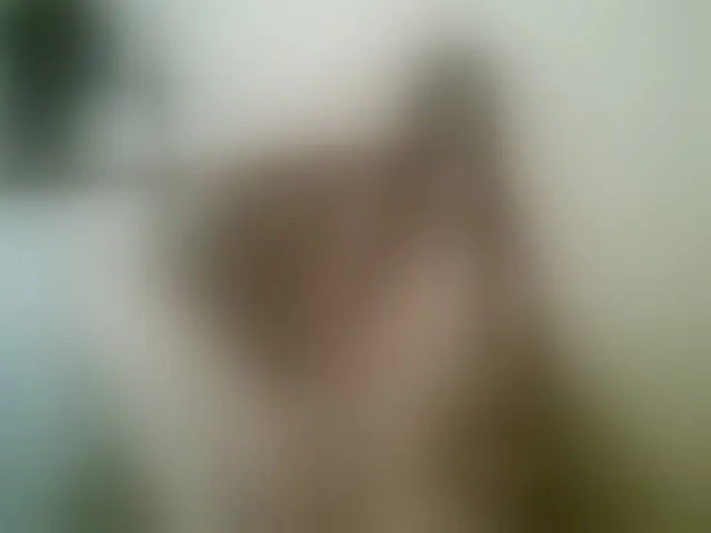 Live sex webcam photo for Terra1123 #254882676