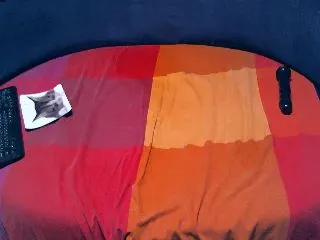 Live sex webcam photo for MagnoliaVS #251903325