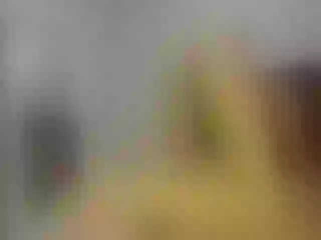 Live sex webcam photo for LittleRed2u #261006018