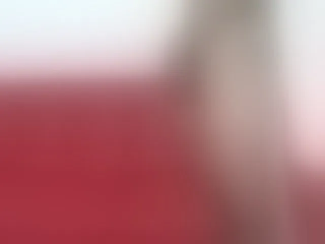 Live sex webcam photo for HotLatinSx #256102878