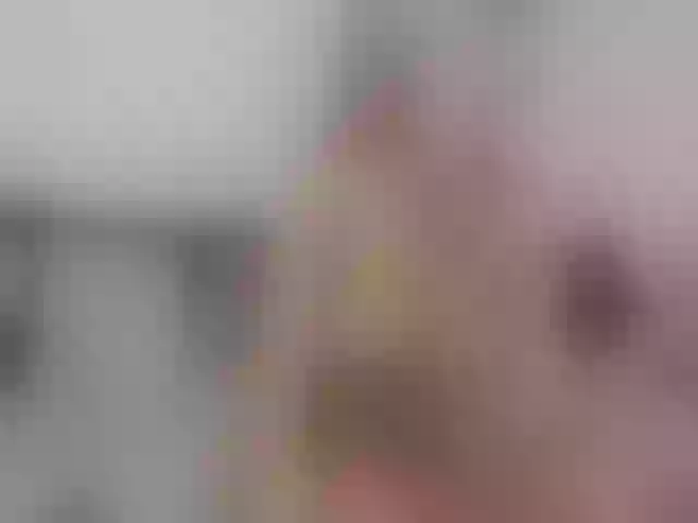 Live sex webcam photo for kendraros #262861265