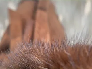 Live sex webcam photo for Kisa-Gav #240863295