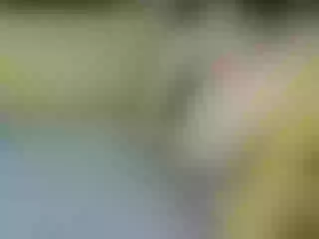 Live sex webcam photo for -Lorik- #241401977