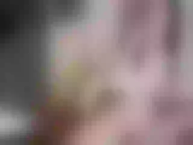 Live sex webcam photo for KittyCute #241938858