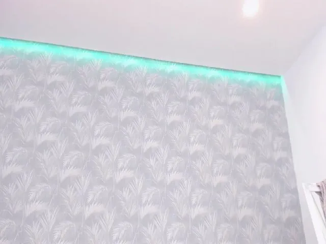 Live sex webcam photo for KellyBelly #254765892