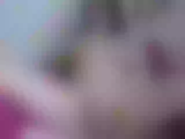 Live sex webcam photo for elizabetheyes #245225593