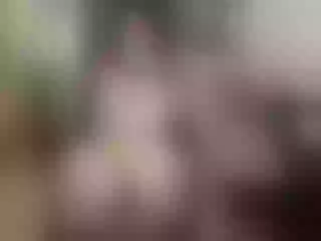 Live sex webcam photo for Evelynevi #254073265