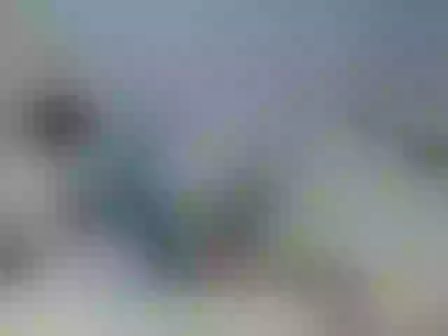 Live sex webcam photo for MomKsenia #241025082