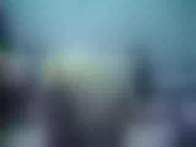 Live sex webcam photo for Girlhornyx20 #253577975