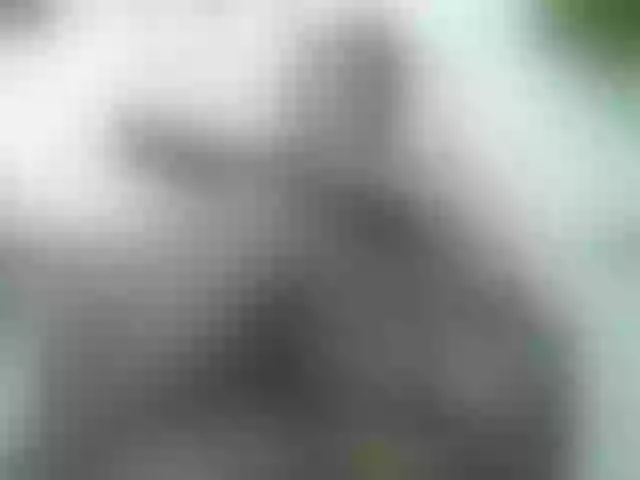 Live sex webcam photo for IngritBitch #244442832