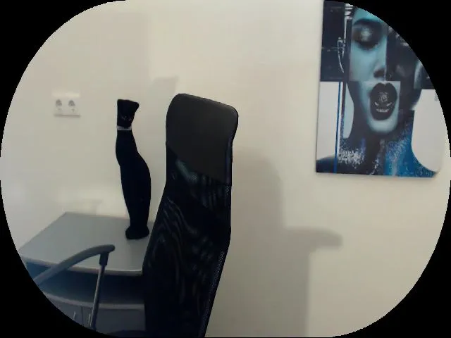 Live sex webcam photo for MollyMey #264471669