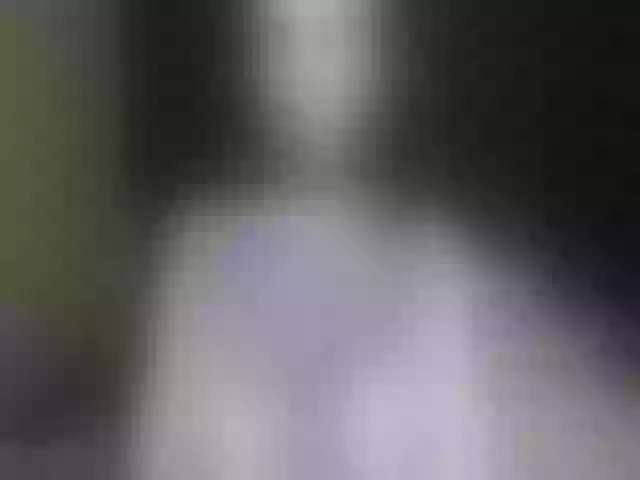Live sex webcam photo for BabydollLucy #259668382