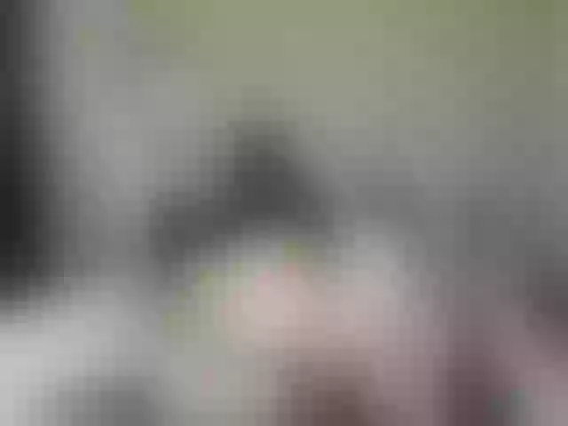 Live sex webcam photo for Kacey_K #264521207