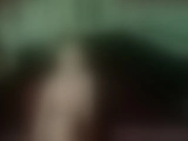 Live sex webcam photo for EmberBurns #260455369
