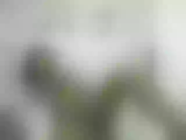 Live sex webcam photo for KiaraKaneel #246007542