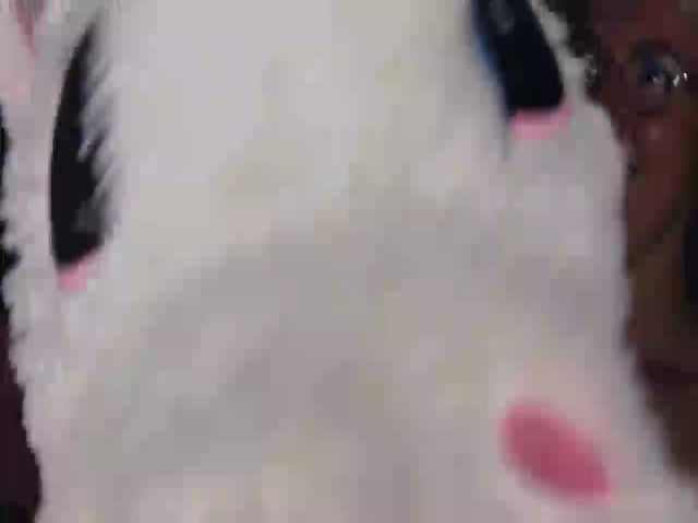 Live sex webcam photo for Xtina_ #258354234