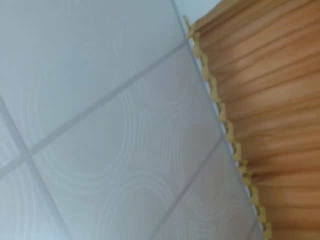 Live sex webcam photo for miss_mafehot #262040171